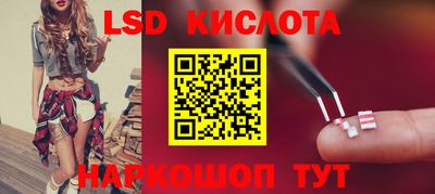 прущие грибы Конаково