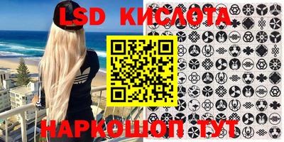 прущие грибы Конаково