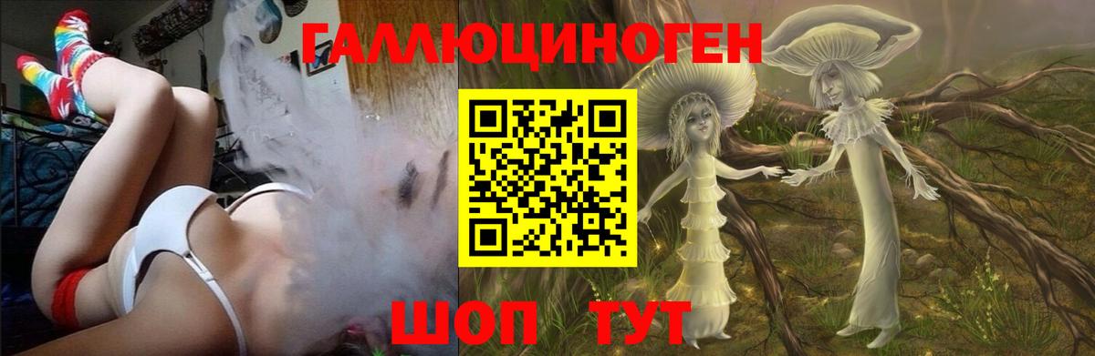 Галлюциногенные грибы Psilocybe  Галлюциногенные грибы GOLDEN TEACHER  Вход с VPN  Хабаровск 